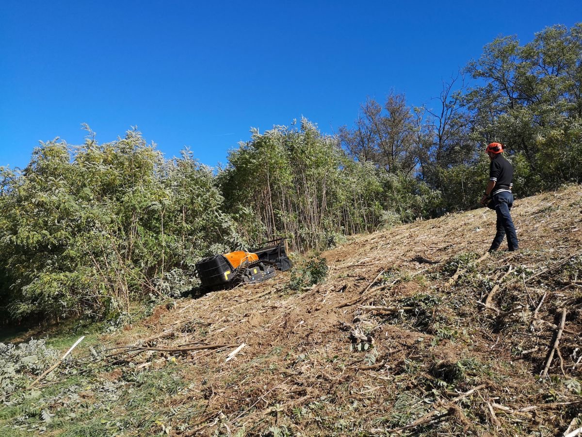 Sonstige Forsttechnik des Typs Sonstige RoboMAX | ferngesteuerte Mulchraupe | 75PS, Gebrauchtmaschine in Krustetten (Bild 9)